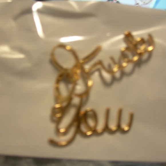 NEW!!! "Fuck" "You" Earrings!! BOLD STATEMENT EARRINGS! Sexy Feisty! Savage! - Picture 3 of 4